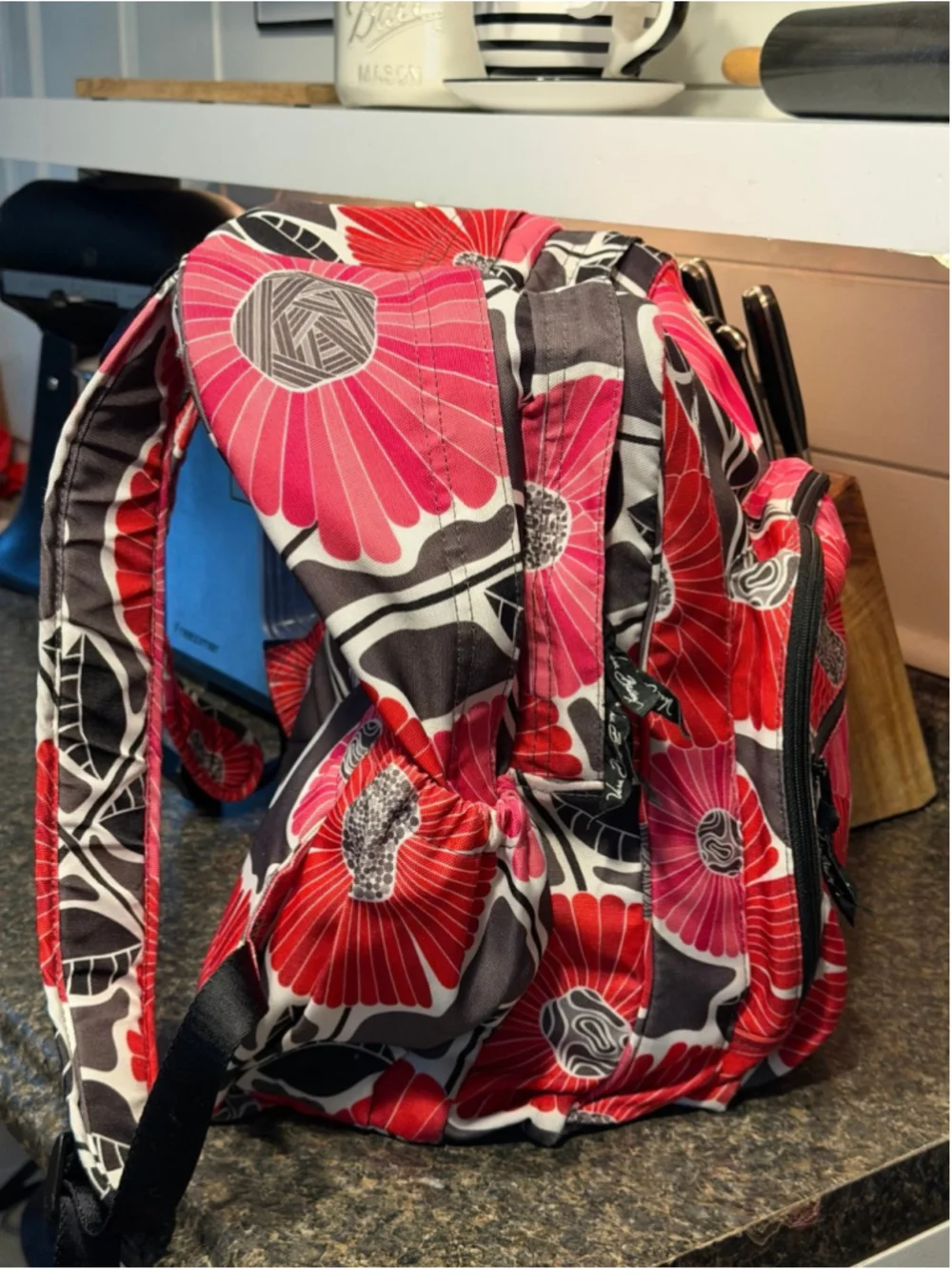 Vera Bradley Retired Cheery Blossoms Backpack
